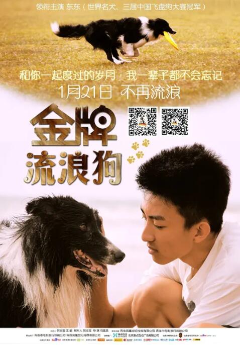 金牌流浪狗在线观看